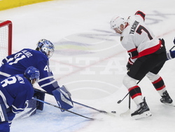 Senators Maple Leafs Hockey