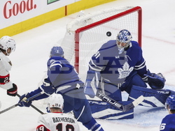 Senators Maple Leafs Hockey