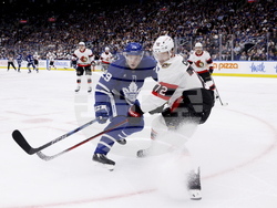 Senators Maple Leafs Hockey