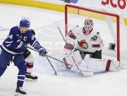 Senators Maple Leafs Hockey