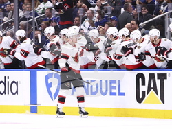 Senators Maple Leafs Hockey