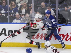 Senators Maple Leafs Hockey