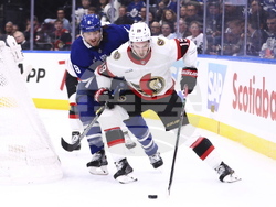 Senators Maple Leafs Hockey