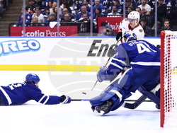 Senators Maple Leafs Hockey