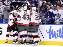 Senators Maple Leafs Hockey