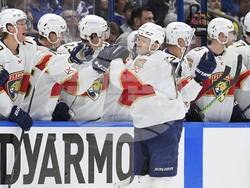 Panthers Lightning Hockey