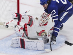 Senators Maple Leafs Hockey