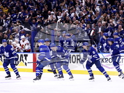 Senators Maple Leafs Hockey