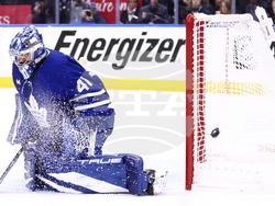 Senators Maple Leafs Hockey