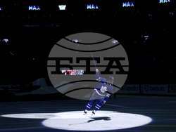 Senators Maple Leafs Hockey