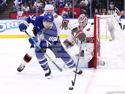 Senators Maple Leafs Hockey