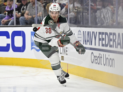 Wild Golden Knights Hockey