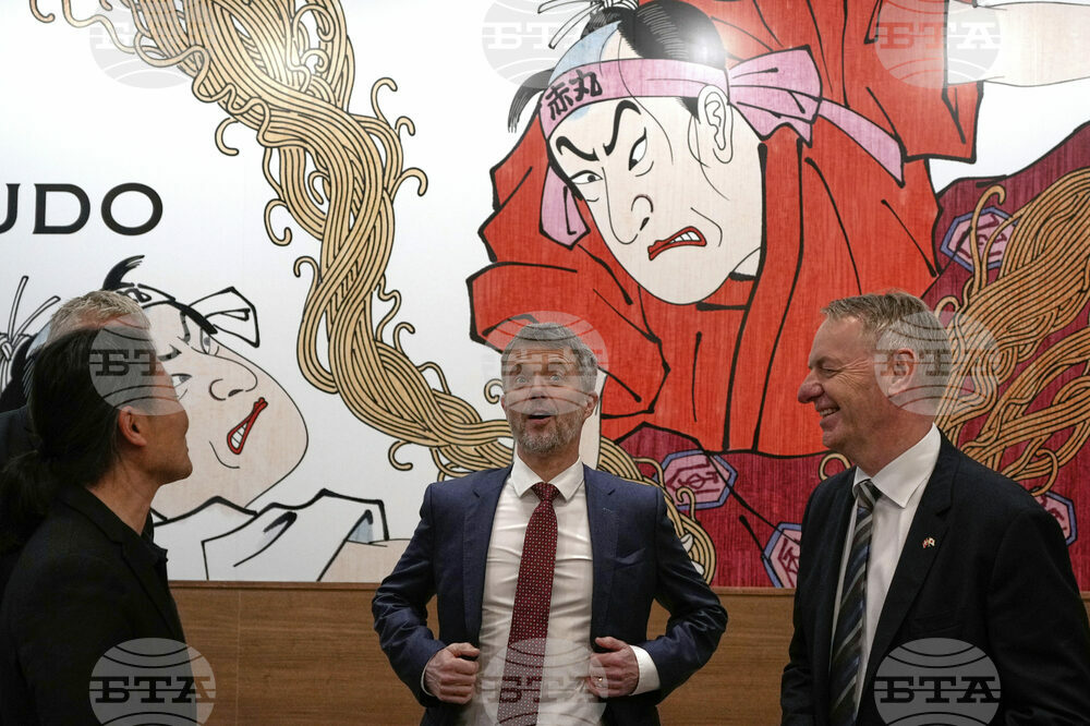 Japan Denmark Royals