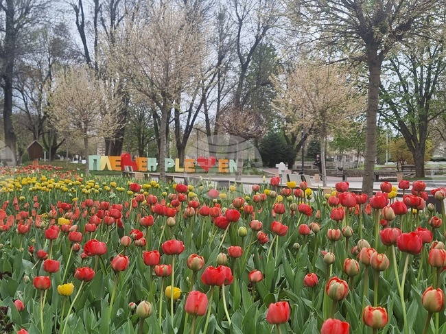 Неучебен ден ще е 15 май в Плевен заради празника на града