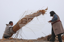 Варна - Златни пясъци - подготовка за сезона