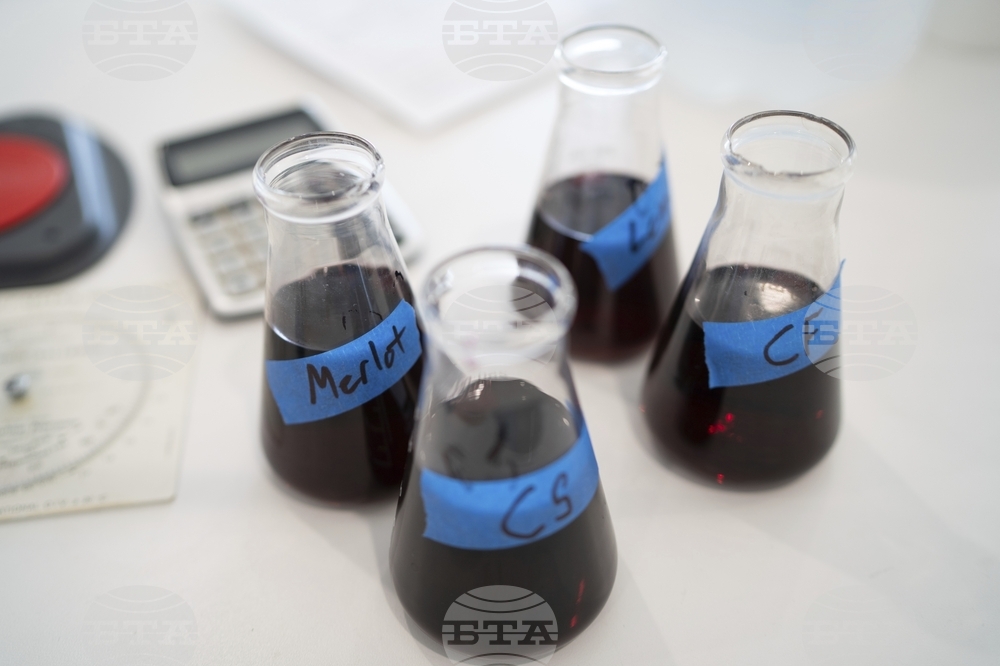 Climate New York Wine Producers