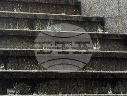 Ежедневие - дъжд