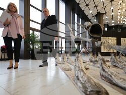 НДК - изложба „Процесия“ - откриване