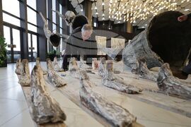 НДК - изложба „Процесия“ - откриване