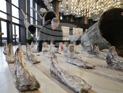 НДК - изложба „Процесия“ - откриване