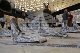 НДК - изложба „Процесия“ - откриване