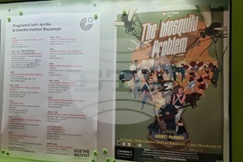 Румъния - българско кино