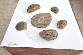 Шумен - „Пролетен салон“ - изложба