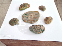 Шумен - „Пролетен салон“ - изложба