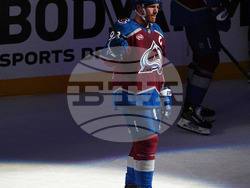 Stars Avalanche Hockey