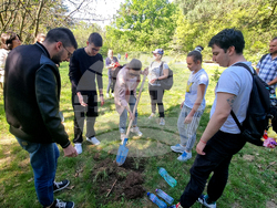 Хасково - "Южна пролет" - фиданка