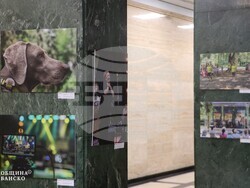 Снимка: Община Банско