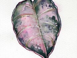 Картина от изложбата „Флорална еклектика“. Снимка: Sofia Green Gallery