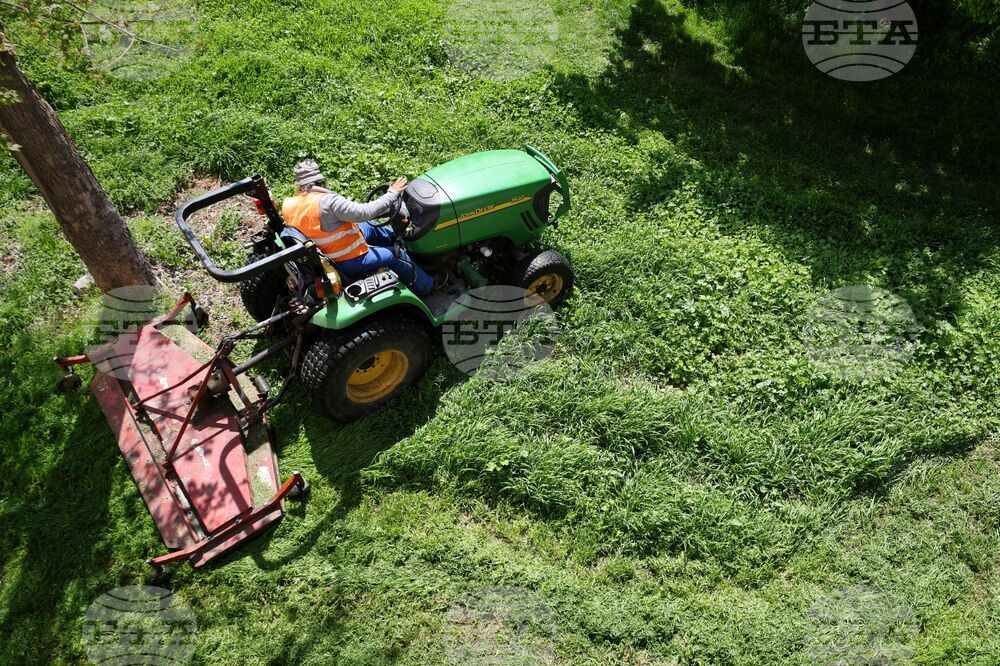 Бургас - тревни площи - косене