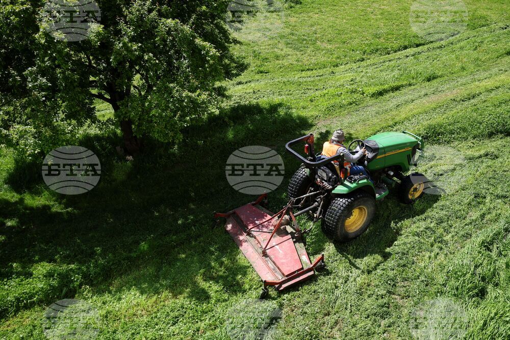 Бургас - тревни площи - косене