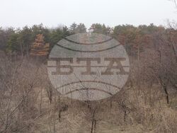 Снимка: Сдружение “Браншова камара на дървообработващата и мебелната промишленост“