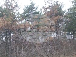 Снимка: Сдружение “Браншова камара на дървообработващата и мебелната промишленост“