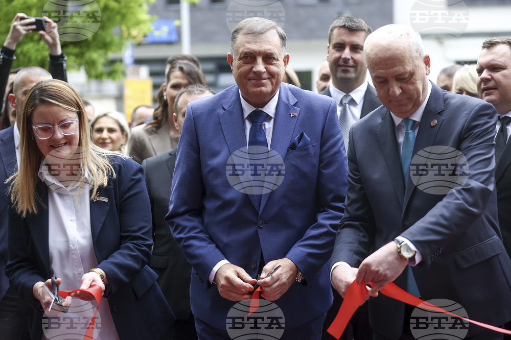 Bosnia Serb Leader