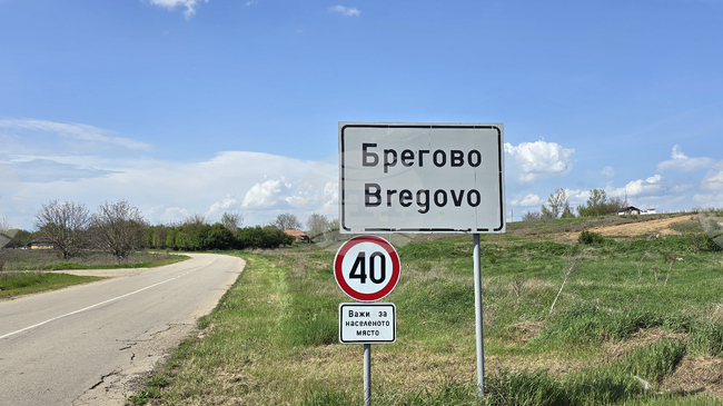 Видинската полиция разследва смъртта на питбул