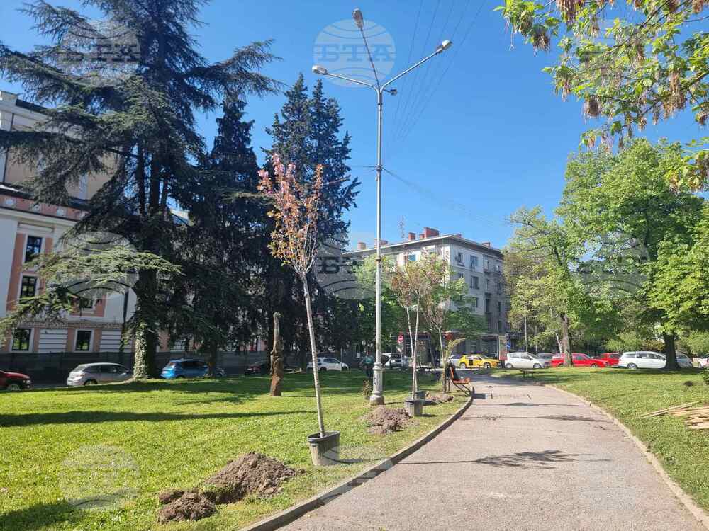 В центъра на Стара Загора бяха засадени първите дръвчета в „Зелената алея на бъдещето“