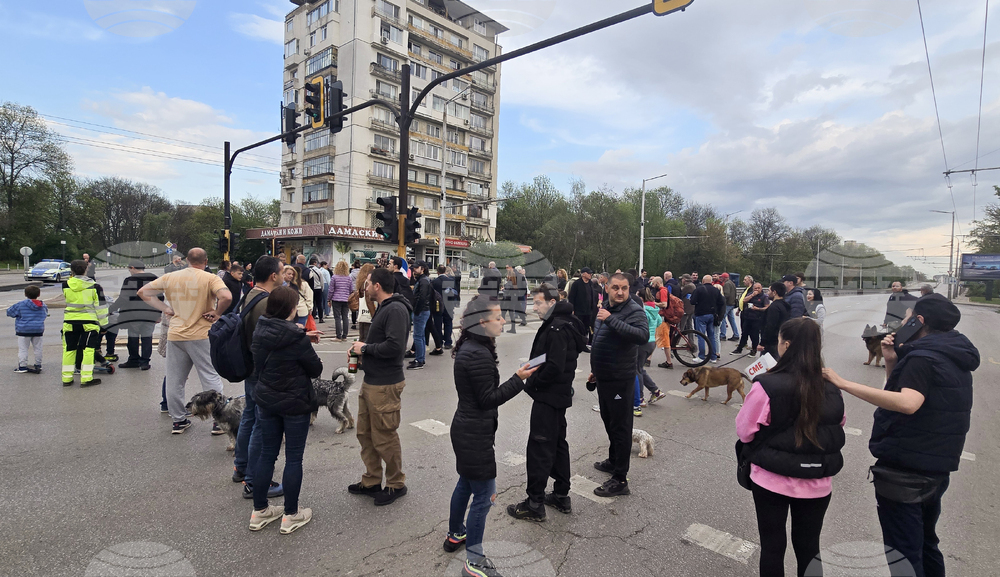 Residents of Sofia's Zaharna Fabrika Protest against Accommodation of Roma from Demolished Illegal Buildings in Borough