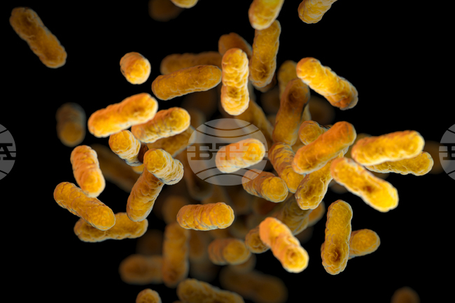 Учени откриха как да обезвреждат опасни бактерии с помощта на микролабиринти