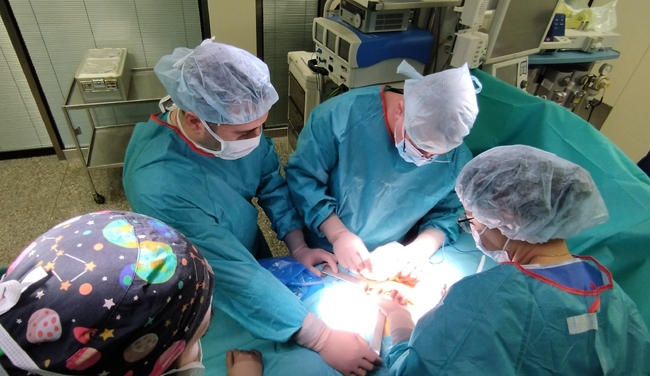 Three People Get Chance at New Life after Organ Donation in Sofia