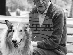 Проф. Любомир Тенев, снимка – БТА/архив