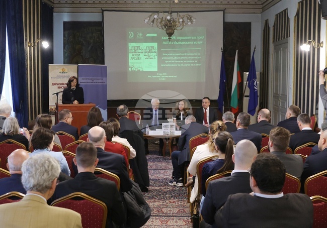 Experts Discuss Bulgaria's Vision for NATO Summit in June