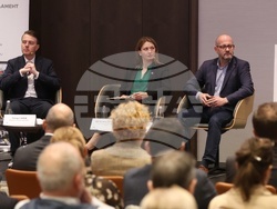 Европейски парламент в България - устойчивост и конкурентоспособност - дискусия