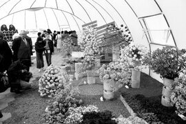 Национална изложба на цветя „Флора Бургас“