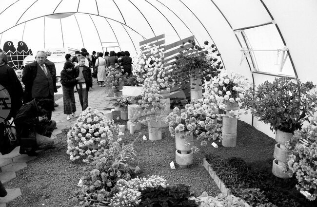 Национална изложба на цветя „Флора Бургас“