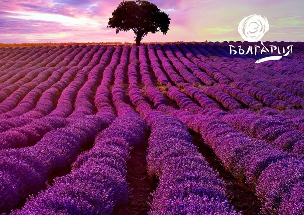 Министърът на туризма Мирослав Боршош: Първите 100 дни на 100%