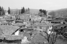 Копривщица