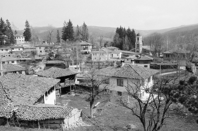 Копривщица